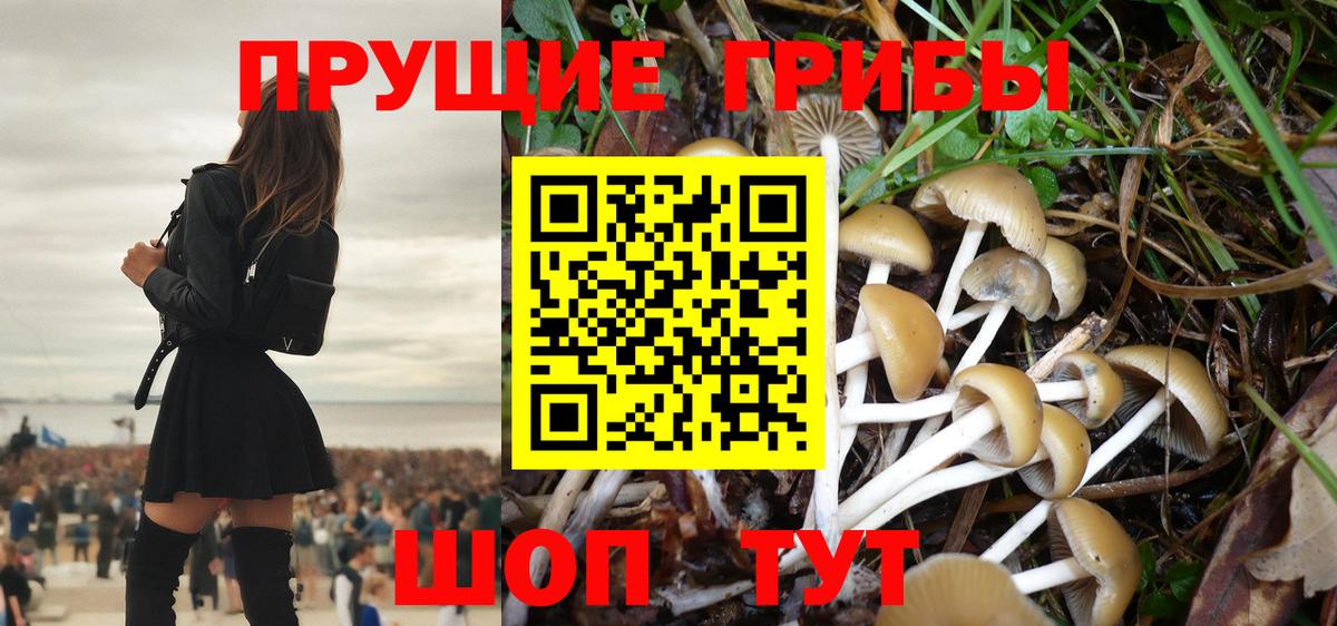 Галлюциногенные грибы прущие грибы  Галлюциногенные грибы прущие грибы  Иркутск  Вход с VPN 